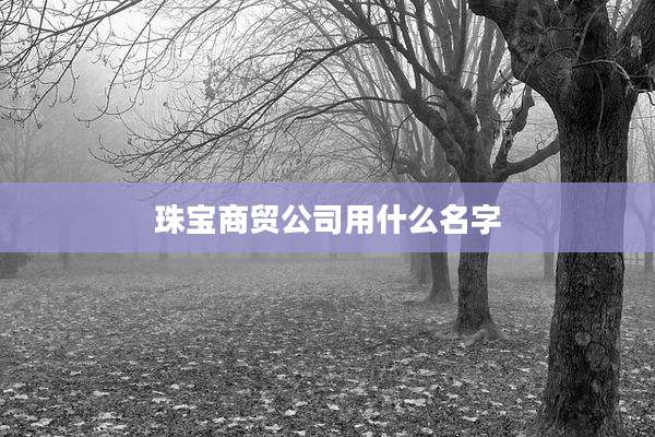 珠宝商贸公司用什么名字