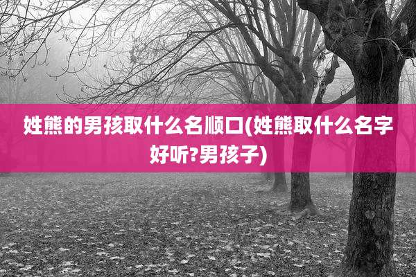 姓熊的男孩取什么名顺口(姓熊取什么名字好听?男孩子)
