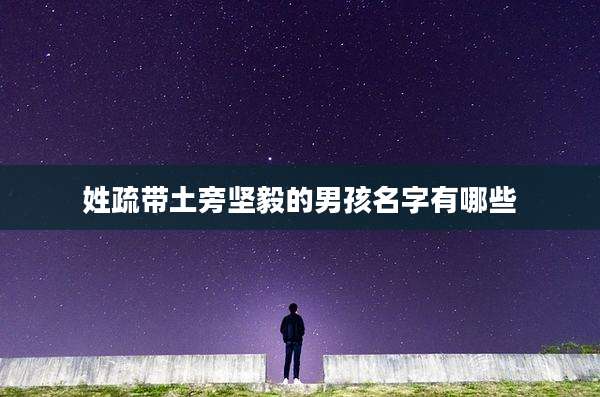 姓疏带土旁坚毅的男孩名字有哪些