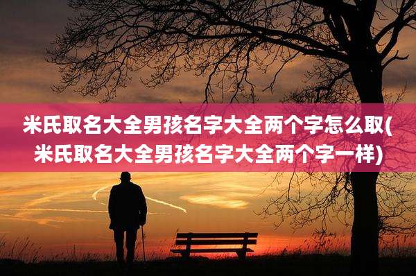 米氏取名大全男孩名字大全两个字怎么取(米氏取名大全男孩名字大全两个字一样)