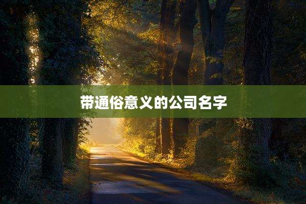 带通俗意义的公司名字