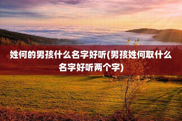 姓何的男孩什么名字好听(男孩姓何取什么名字好听两个字)