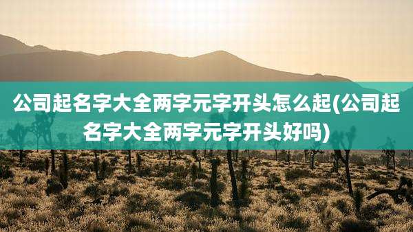 公司起名字大全两字元字开头怎么起(公司起名字大全两字元字开头好吗)