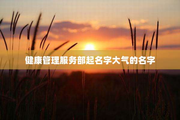 健康管理服务部起名字大气的名字