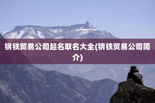 钢铁贸易公司起名取名大全(钢铁贸易公司简介)
