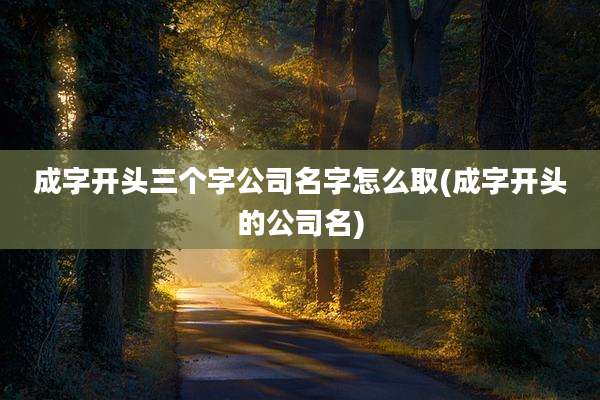 成字开头三个字公司名字怎么取(成字开头的公司名)
