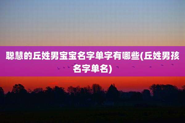聪慧的丘姓男宝宝名字单字有哪些(丘姓男孩名字单名)