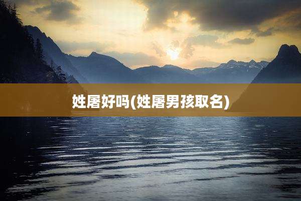 姓屠好吗(姓屠男孩取名)