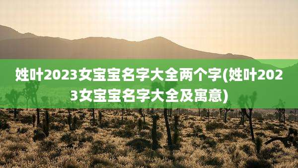 姓叶2023女宝宝名字大全两个字(姓叶2023女宝宝名字大全及寓意)