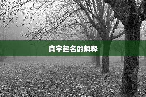 真字起名的解释