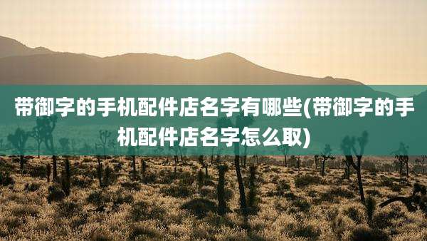 带御字的手机配件店名字有哪些(带御字的手机配件店名字怎么取)