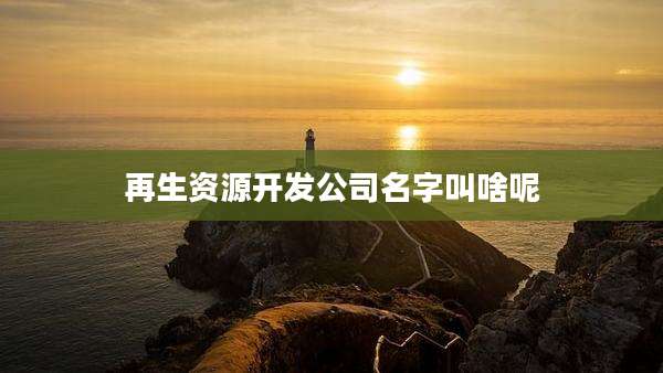 再生资源开发公司名字叫啥呢
