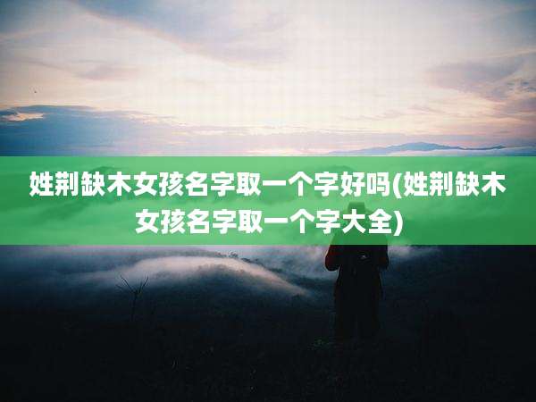 姓荆缺木女孩名字取一个字好吗(姓荆缺木女孩名字取一个字大全)