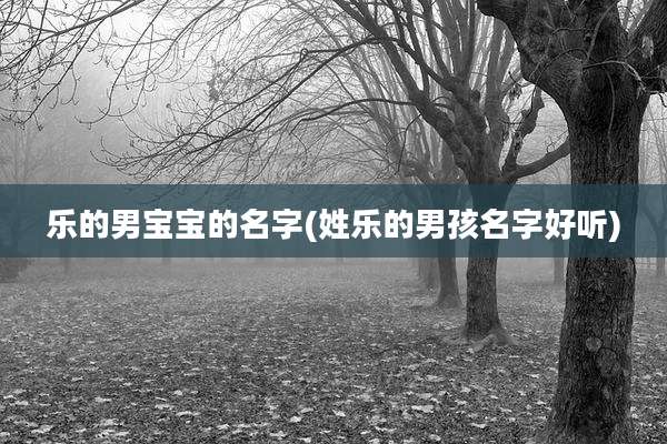 乐的男宝宝的名字(姓乐的男孩名字好听)