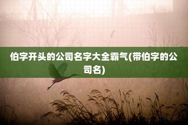 伯字开头的公司名字大全霸气(带伯字的公司名)