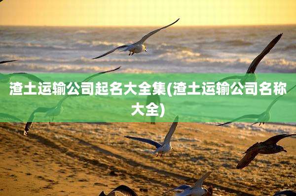 渣土运输公司起名大全集(渣土运输公司名称大全)