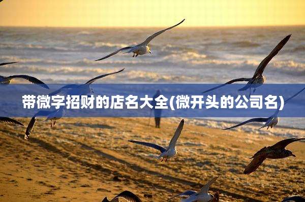 带微字招财的店名大全(微开头的公司名)