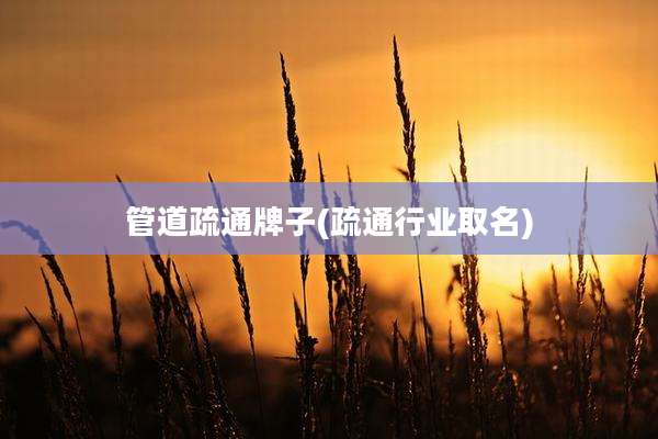 管道疏通牌子(疏通行业取名)