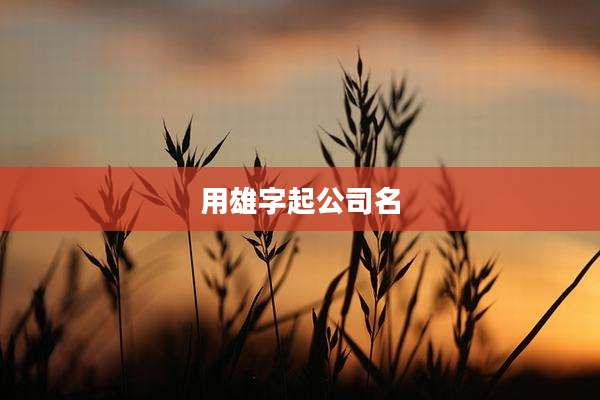 用雄字起公司名