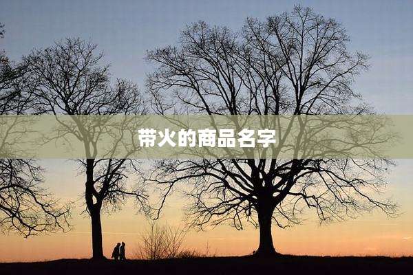 带火的商品名字