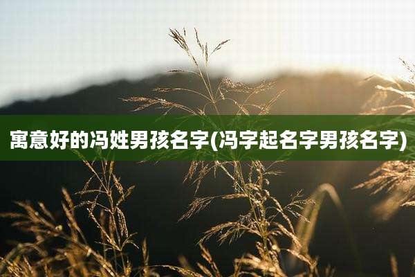 寓意好的冯姓男孩名字(冯字起名字男孩名字)