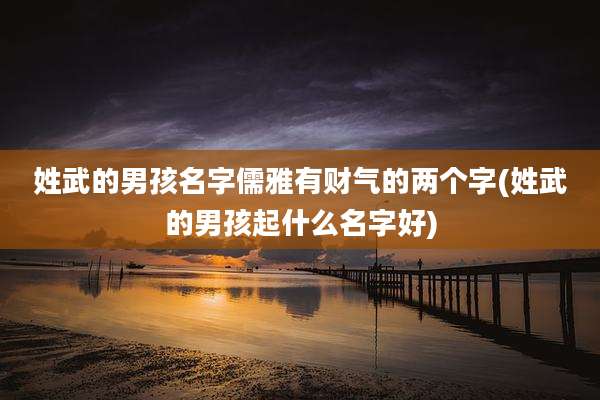 姓武的男孩名字儒雅有财气的两个字(姓武的男孩起什么名字好)