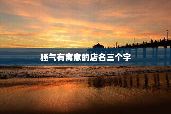 骚气有寓意的店名三个字