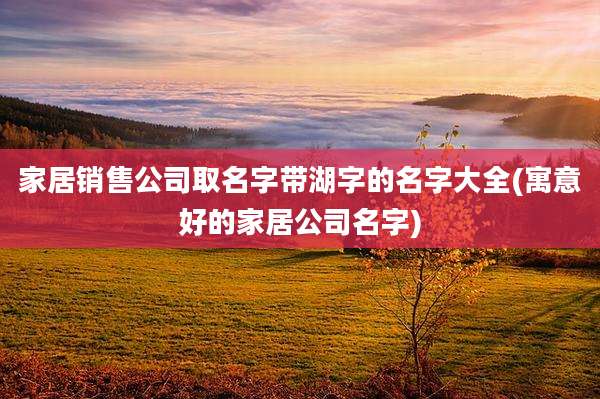 家居销售公司取名字带湖字的名字大全(寓意好的家居公司名字)