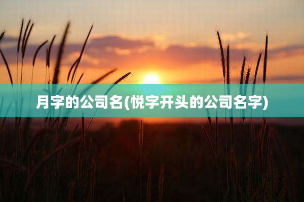 月字的公司名(悦字开头的公司名字)