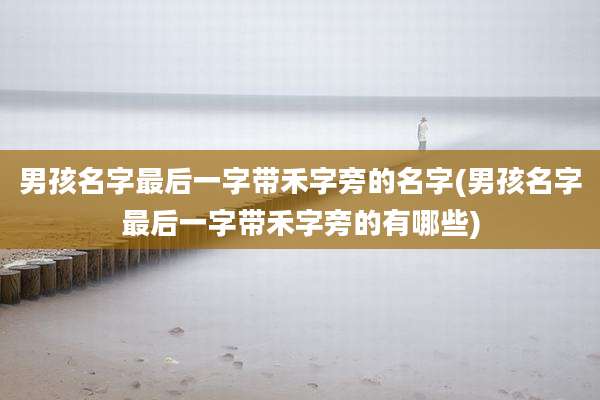 男孩名字最后一字带禾字旁的名字(男孩名字最后一字带禾字旁的有哪些)