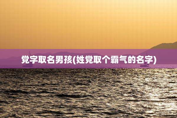 党字取名男孩(姓党取个霸气的名字)