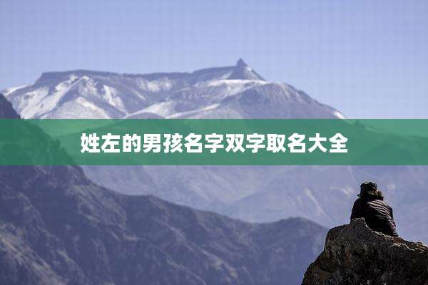 姓左的男孩名字双字取名大全