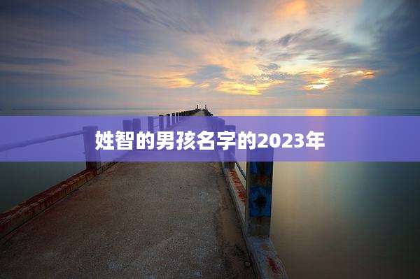 姓智的男孩名字的2023年