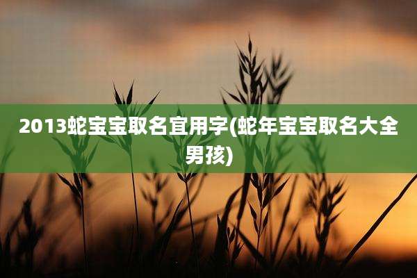 2013蛇宝宝取名宜用字(蛇年宝宝取名大全男孩)