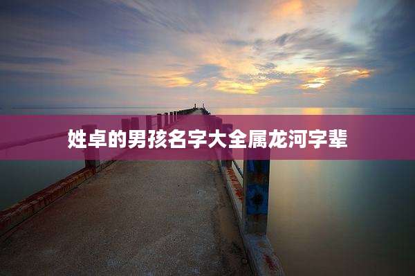 姓卓的男孩名字大全属龙河字辈