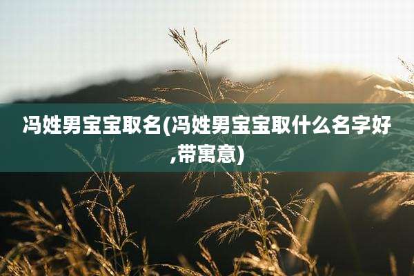 冯姓男宝宝取名(冯姓男宝宝取什么名字好,带寓意)