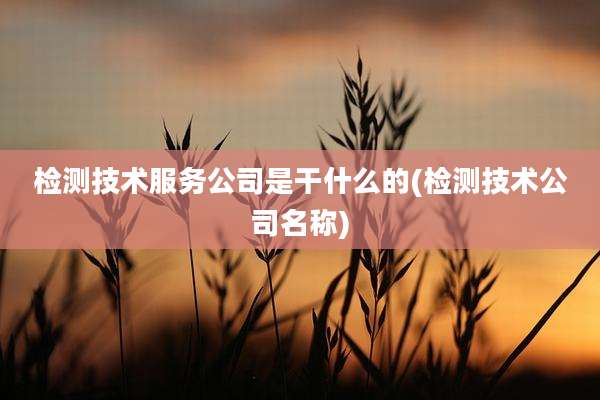 检测技术服务公司是干什么的(检测技术公司名称)