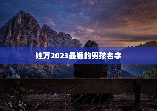 姓万2023最顺的男孩名字