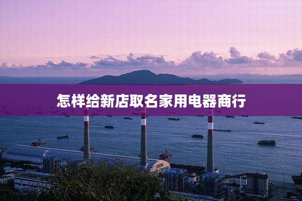 怎样给新店取名家用电器商行