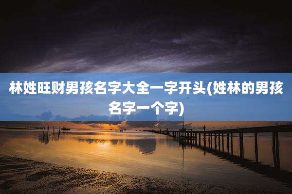 林姓旺财男孩名字大全一字开头(姓林的男孩名字一个字)