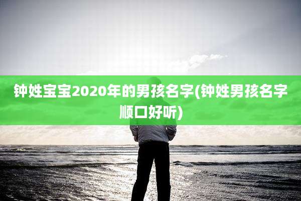 钟姓宝宝2020年的男孩名字(钟姓男孩名字顺口好听)