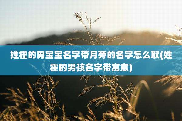 姓霍的男宝宝名字带月旁的名字怎么取(姓霍的男孩名字带寓意)