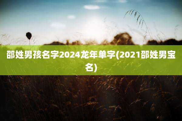 邵姓男孩名字2024龙年单字(2021邵姓男宝名)