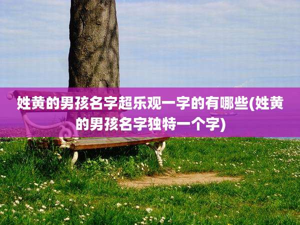姓黄的男孩名字超乐观一字的有哪些(姓黄的男孩名字独特一个字)