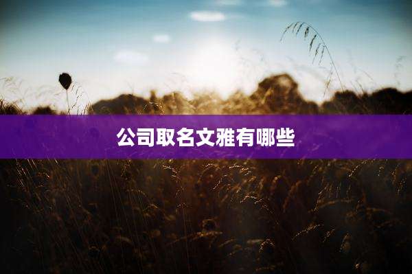 公司取名文雅有哪些