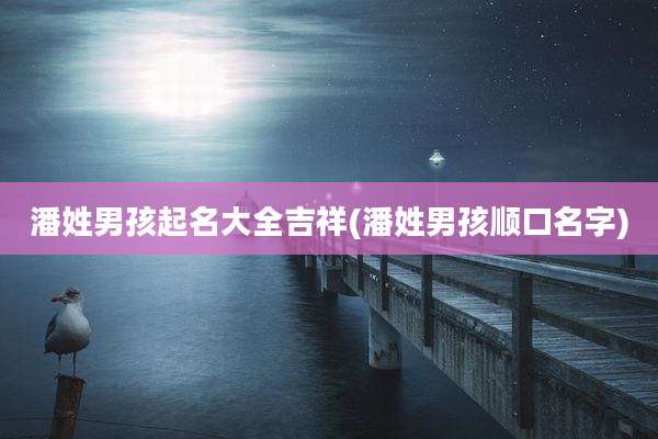 潘姓男孩起名大全吉祥(潘姓男孩顺口名字)