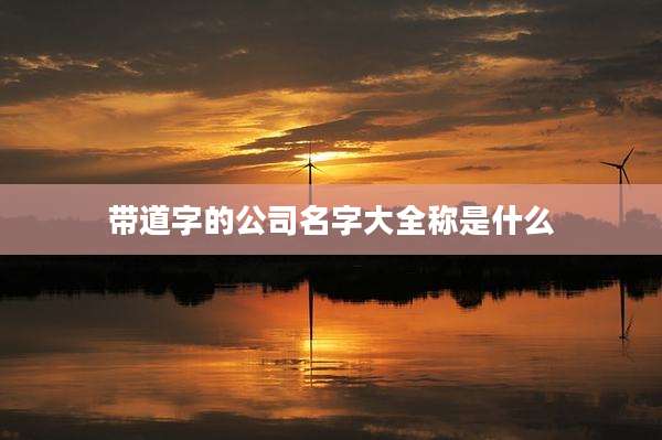 带道字的公司名字大全称是什么
