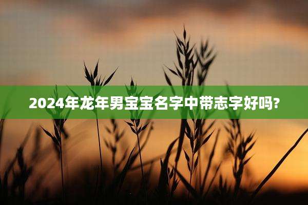 2024年龙年男宝宝名字中带志字好吗?