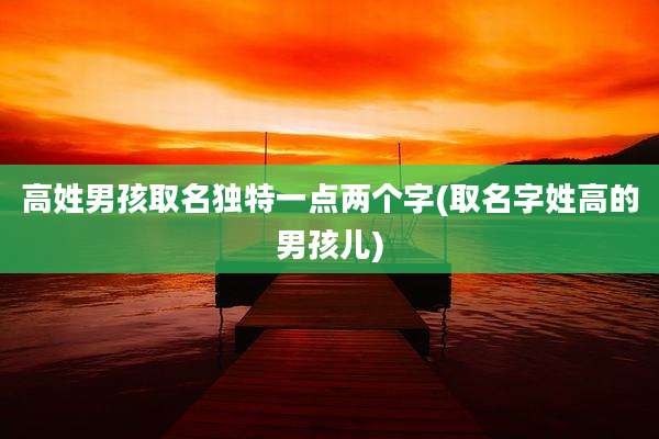 高姓男孩取名独特一点两个字(取名字姓高的男孩儿)