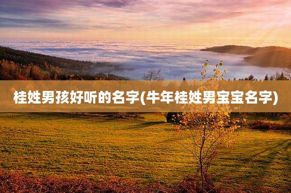 桂姓男孩好听的名字(牛年桂姓男宝宝名字)